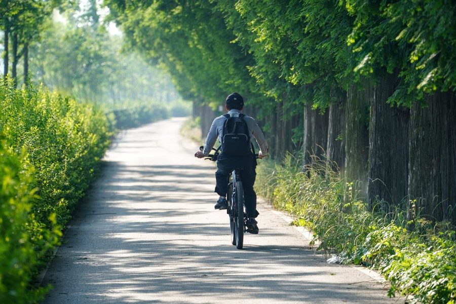 man, riding, cycling