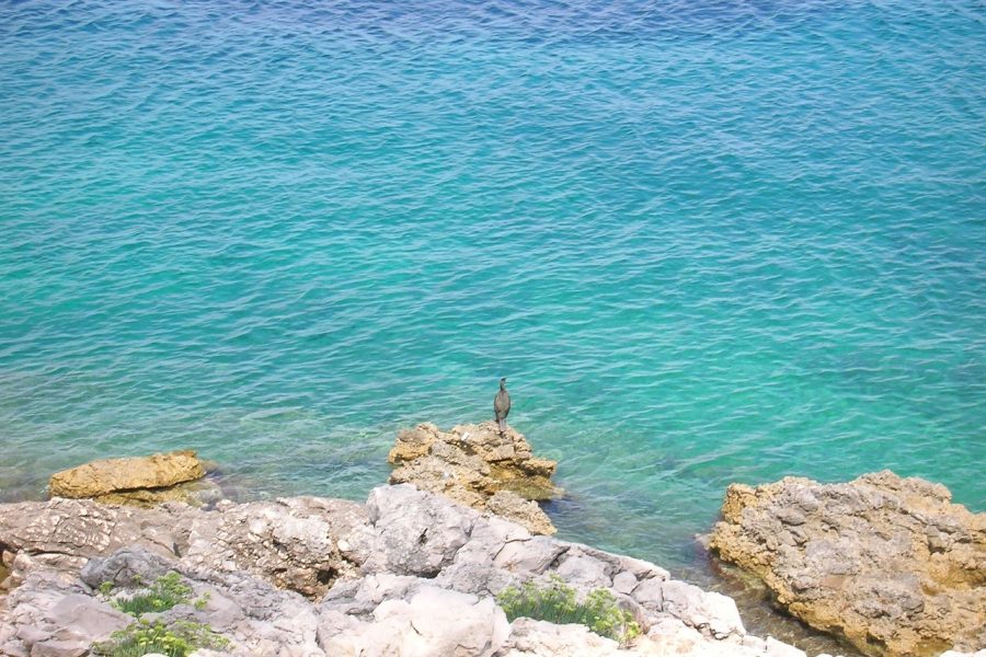 Inselträume auf Mali Lošinj – Erholung und Entdeckungen in der Kvarner-Bucht